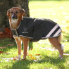 Cappotto impermeabile per cani Shires Digby & Fox - Verde