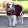 Cappotto impermeabile per cani Shires Digby & Fox - Bordeaux