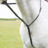 Martingala fissa Shires Velociti Gara - Marrone