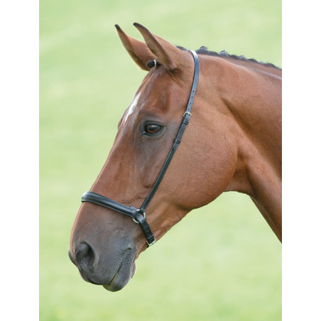 Capezzina tedesca Shires Velociti Gara