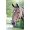 Capezzina tedesca Shires Velociti Gara - Marrone