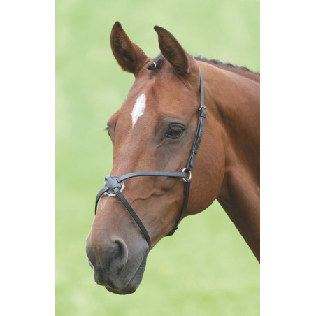 Capezzina incrociata messicana Shires Velociti Gara