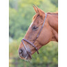 Cavezza francese flash Shires Velociti Gara - Marrone