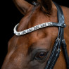 Fronte Imperiale Riding Slim - Nero / argento