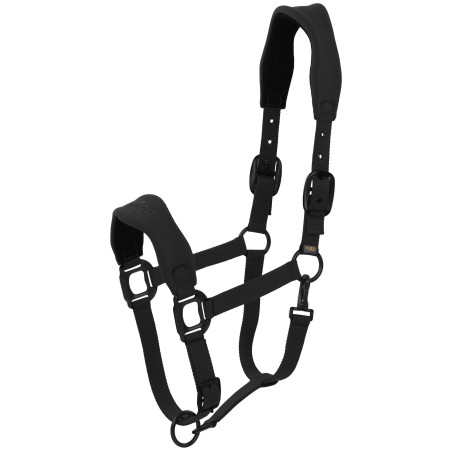 Capezza Lamicell V22