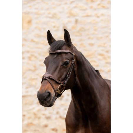 Briglia K by Equithème K-Kontour