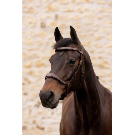 Briglia K by Equithème K-Konnect