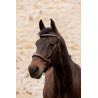Briglia K by Equithème K-Konnect - Marrone