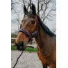 Capestro + lunghina Equithème Coco - Prugna