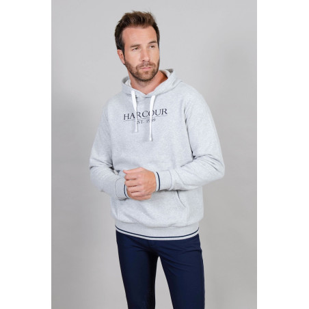 Felpa con cappuccio Swiss grigio