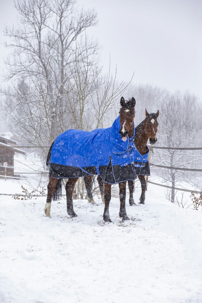 Coperta Equithème Tyrex 1200D Aisance High Neck Blu / nero