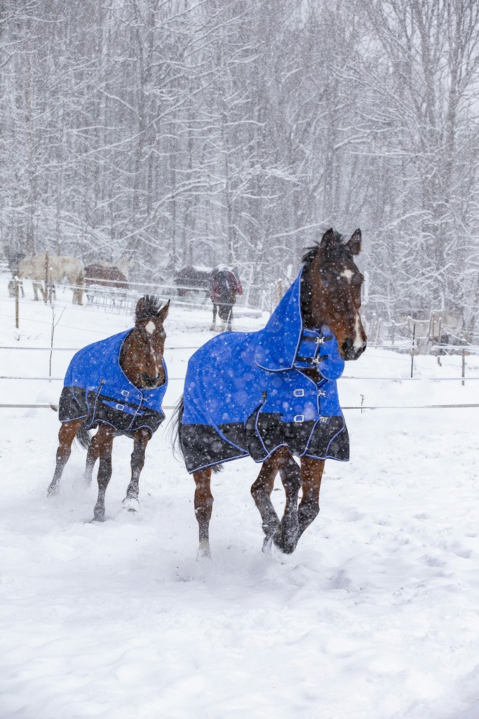 Coperta Equithème Tyrex 1200D Aisance High Neck Blu / nero