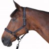 Set pettorale + redini Canter - Nero