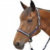 Set di cavezza in nylon/lurex + lunghina Canter - Marino / argento