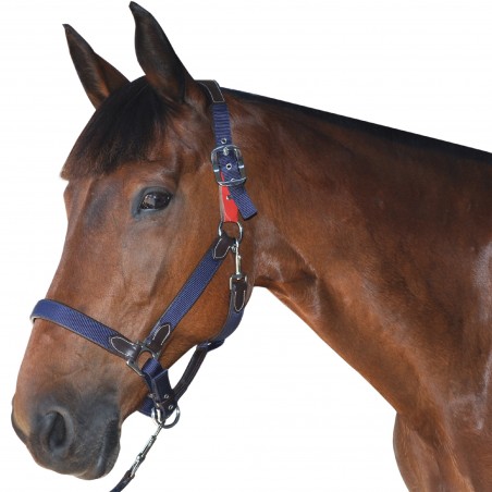 Capestro di sicurezza Flags & Cup