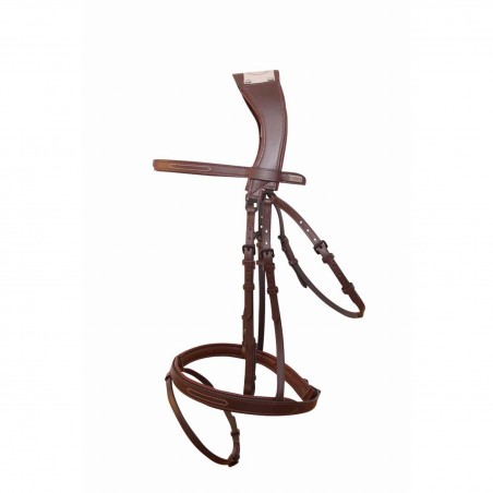 Briglia Con Ponte Manet T de T