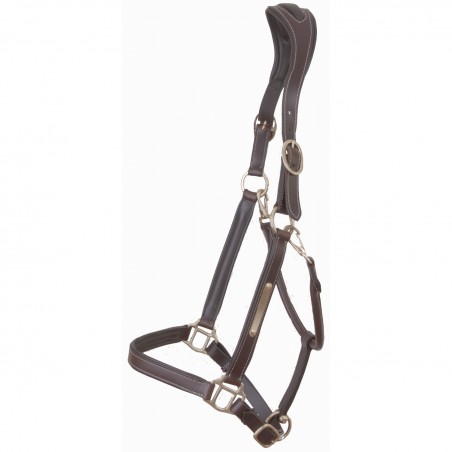 Capestro in Pelle con Placchetta e Capezzina Anatomica T de T