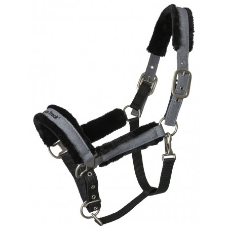 Cavezzone Back on Track Haze Collection