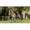 Sottosella LeMieux Loire Dressage Square - Verde hunter