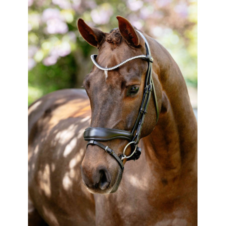 Briglia da dressage anatomica Kudos LeMieux