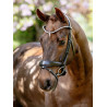 Briglia da dressage anatomica Kudos LeMieux - Marrone