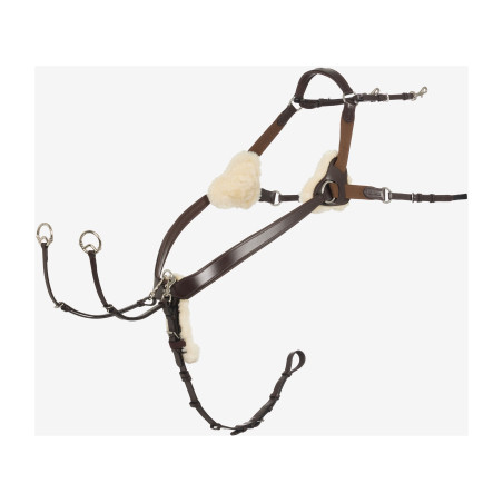 Pettorale a 5 punti Kudos LeMieux