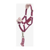 Capestro e lunghina Vogue Hobby Horse LeMieux - Mora