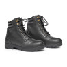Wild River Lace Paddock Mountain Horse - Nero