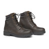 Wild River Lace Paddock Mountain Horse - Marrone