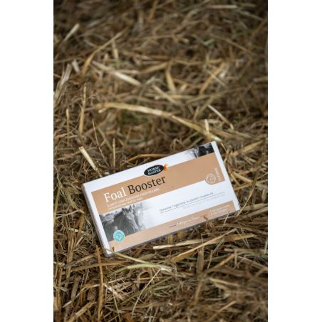 Foal Booster Horse Master per 4