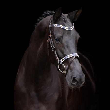 Briglia HV Polo Chaya