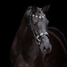 Briglia HV Polo Chaya - Nero / dorato