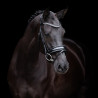 Briglia HV Polo Diana - Nero