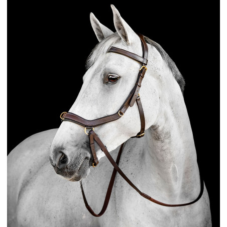Briglia Horseware Micklem® Multi