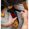 Fasce terapeutiche a LED a luce rossa per le zampe degli animali domestici Horseware Paio - Nero / nero