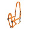 Covalliero Capezza AH26 - Arancione