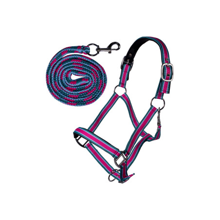 Set di capezzina con moschettone Manchester HKM