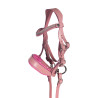 Briglia in cuoio Pink Hobby Horsing HKM - Rosa