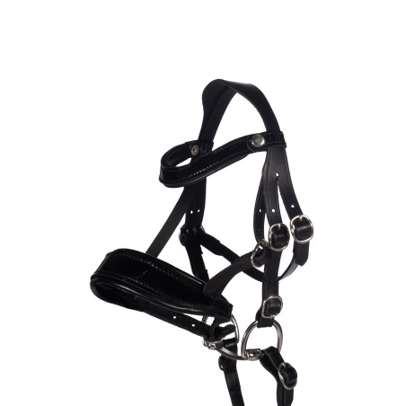 Briglia in cuoio verniciato Hobby Horsing HKM