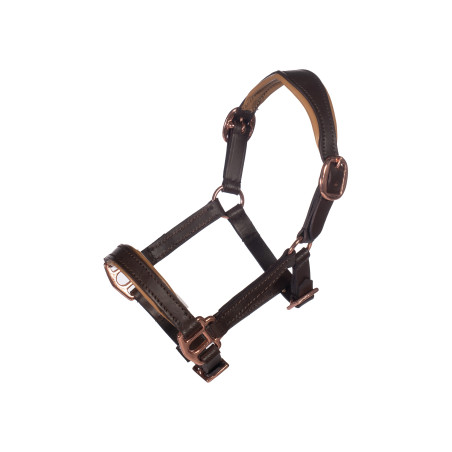 Capezza in pelle oro rosa Hobby Horsing - HKM