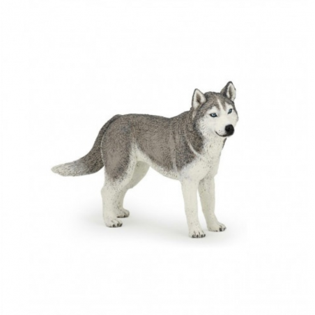 Figurina Husky della Siberia Papo