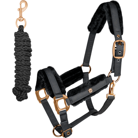 Set capezza Phoenix Waldhausen