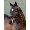 Briglia Arika Flash LeMieux - Marrone / argento