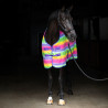 Coperta in pile Imperial Riding Stripe - Arcobaleno