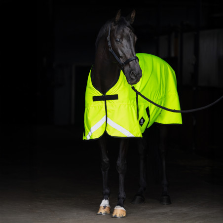 Coperta da esterno Imperial Riding Reflective 200 g