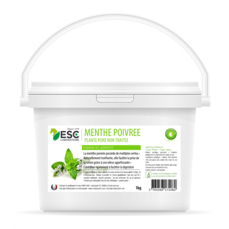 Menta Piperita ESC Laboratorio