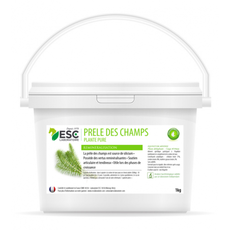 Equiseto dei campi ESC Laboratoire