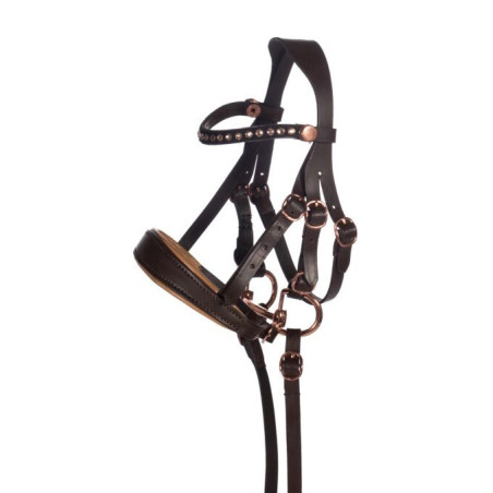 Briglia in cuoio oro rosa Hobby Horsing HKM