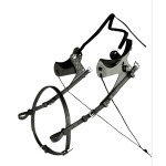 PARAOCCHI DISCENDENTI