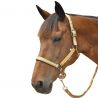 Set di cavezza in nylon/lurex + lunghina Canter - Miele